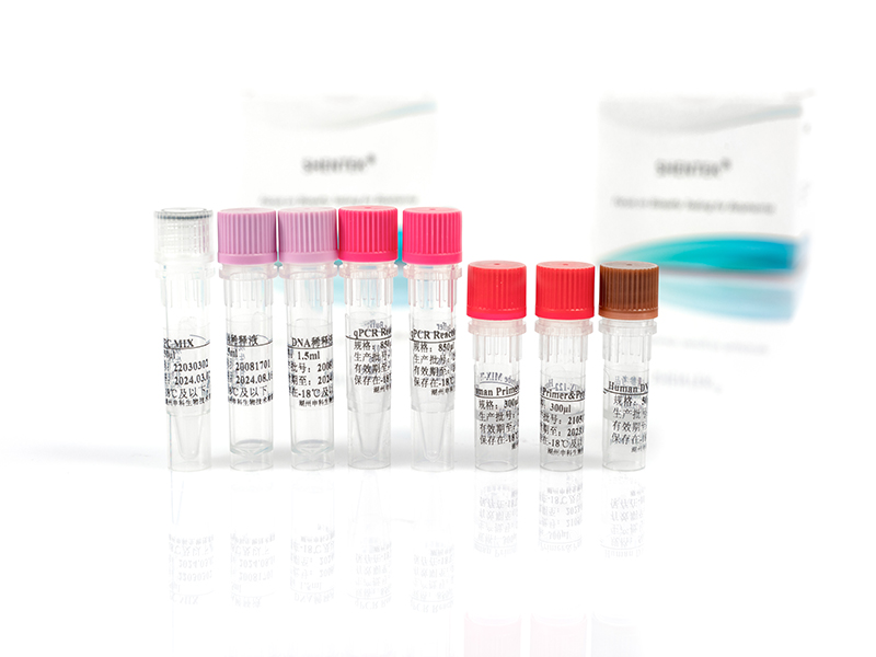 Human殘留DNA片段分析檢測試劑盒